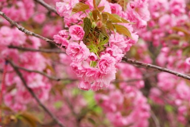 湖州南浔区5线下个人借款平台一站式服务，轻松解决资金难题