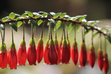 湖州南浔区5零用贷短借：轻松解决临时资金需求