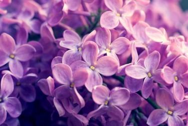 湖州南浔区5企业急用钱贷款攻略：快速融资解燃眉之急